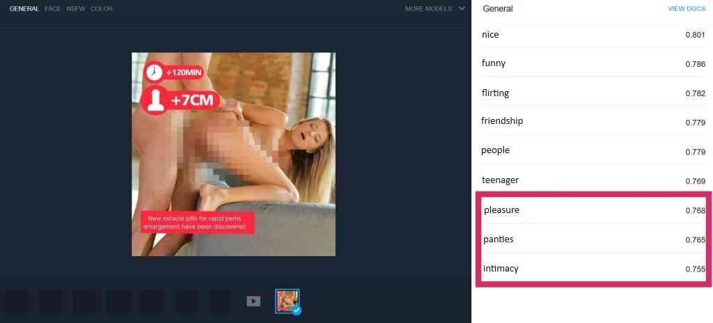 Captura de pantalla del servicio Clarifai
