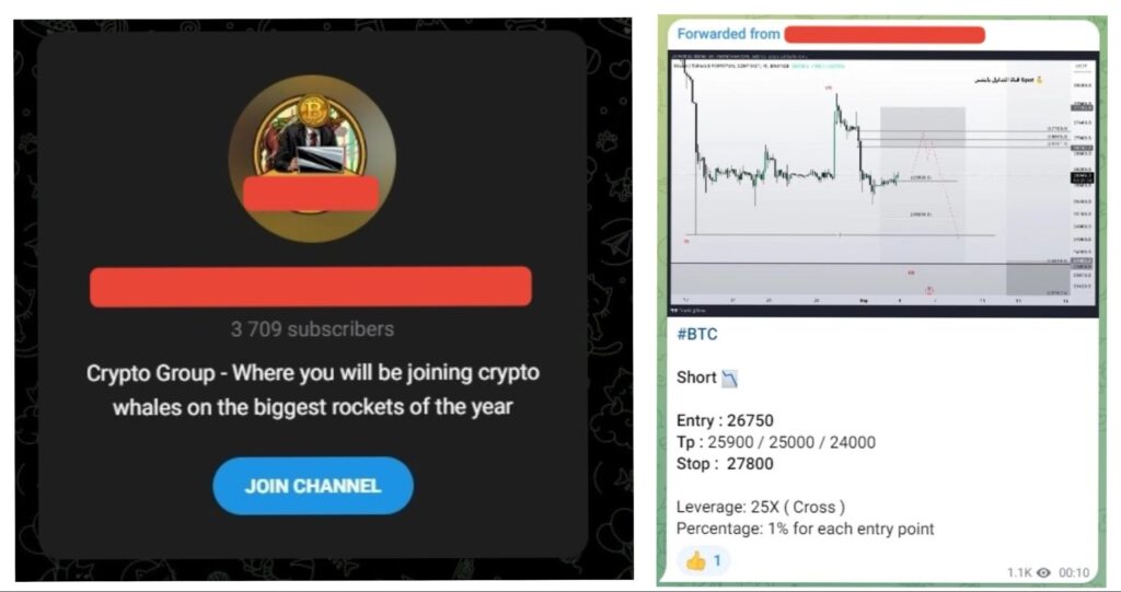 Captura de pantalla del canal de Telegram